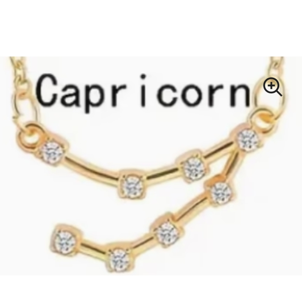 Capricorn necklace